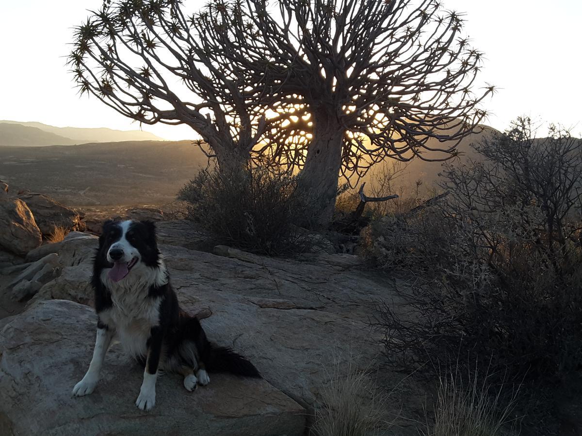 Sperrgebiet Lodge Springbok Esterno foto